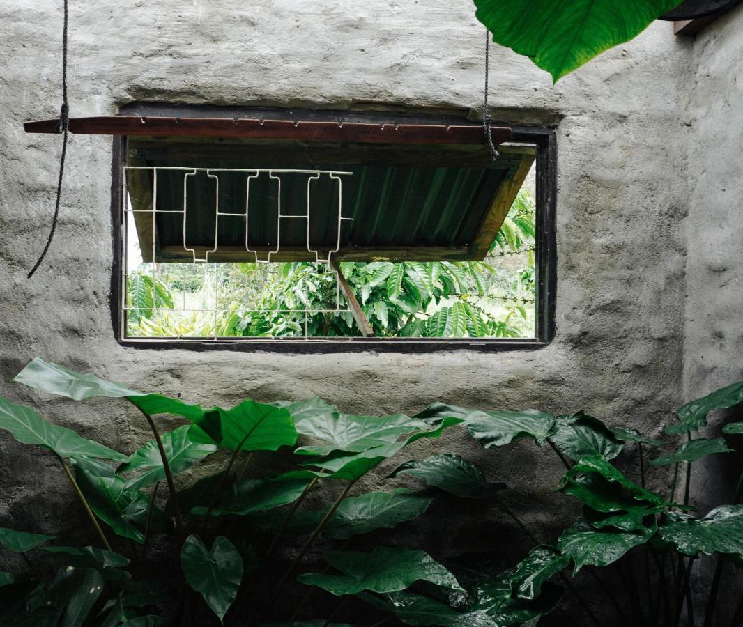 Appartement Ivy Coffee Farm - Garden House à Duc Trong Extérieur photo