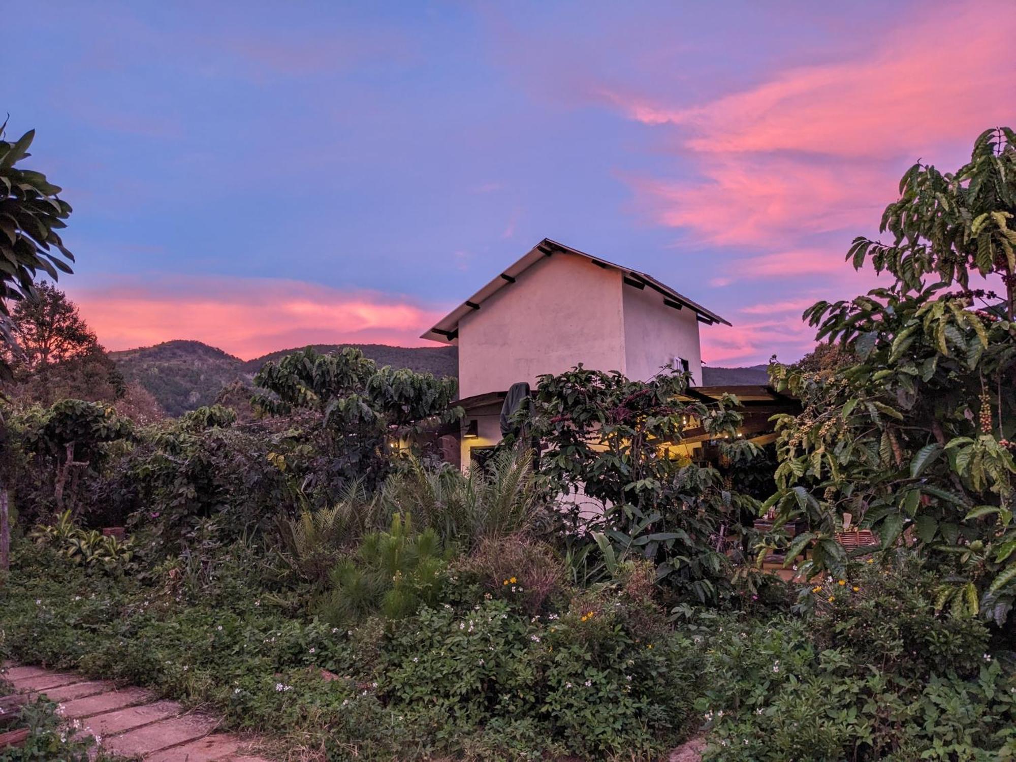 Appartement Ivy Coffee Farm - Garden House à Duc Trong Extérieur photo