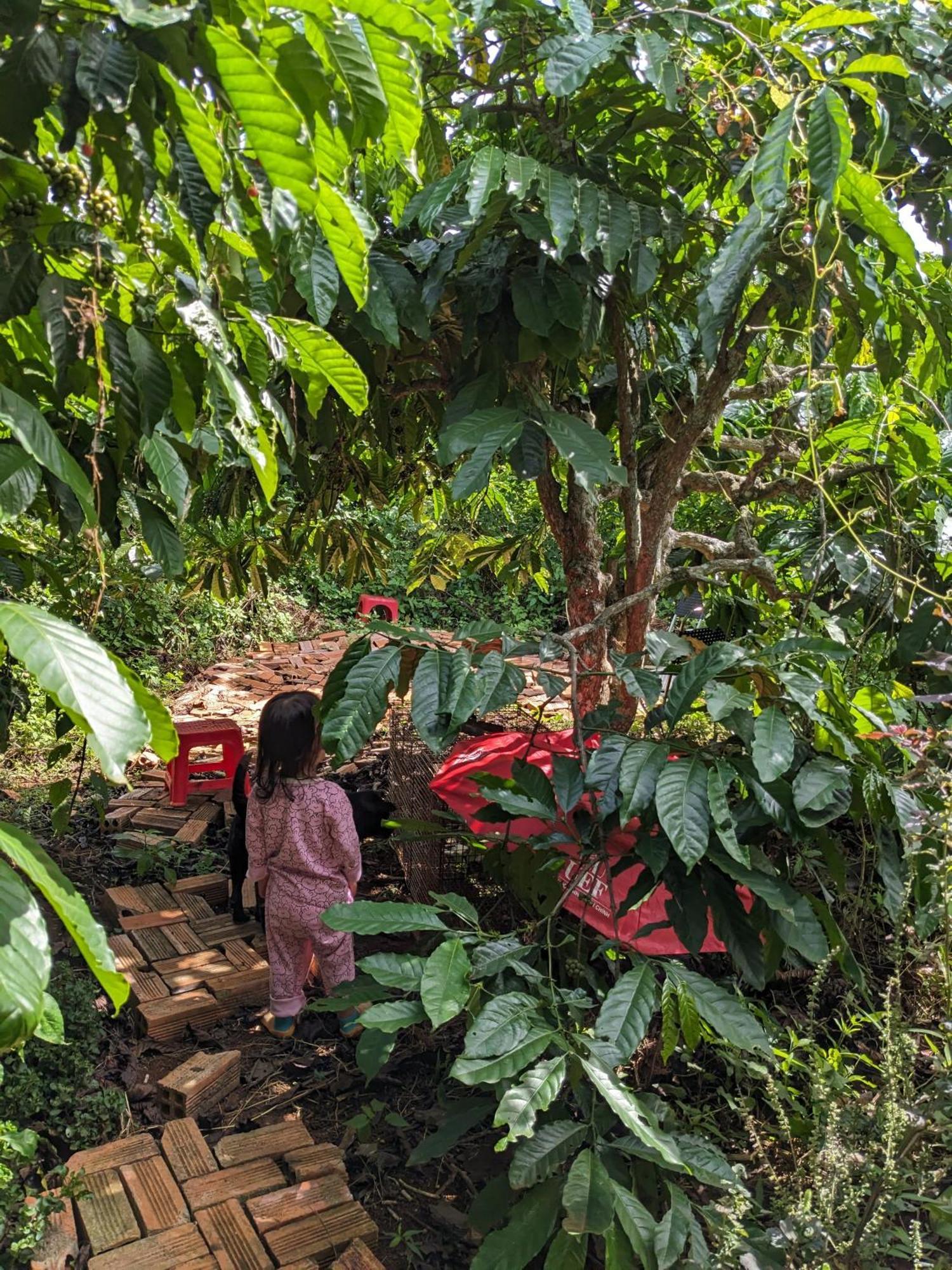 Appartement Ivy Coffee Farm - Garden House à Duc Trong Extérieur photo