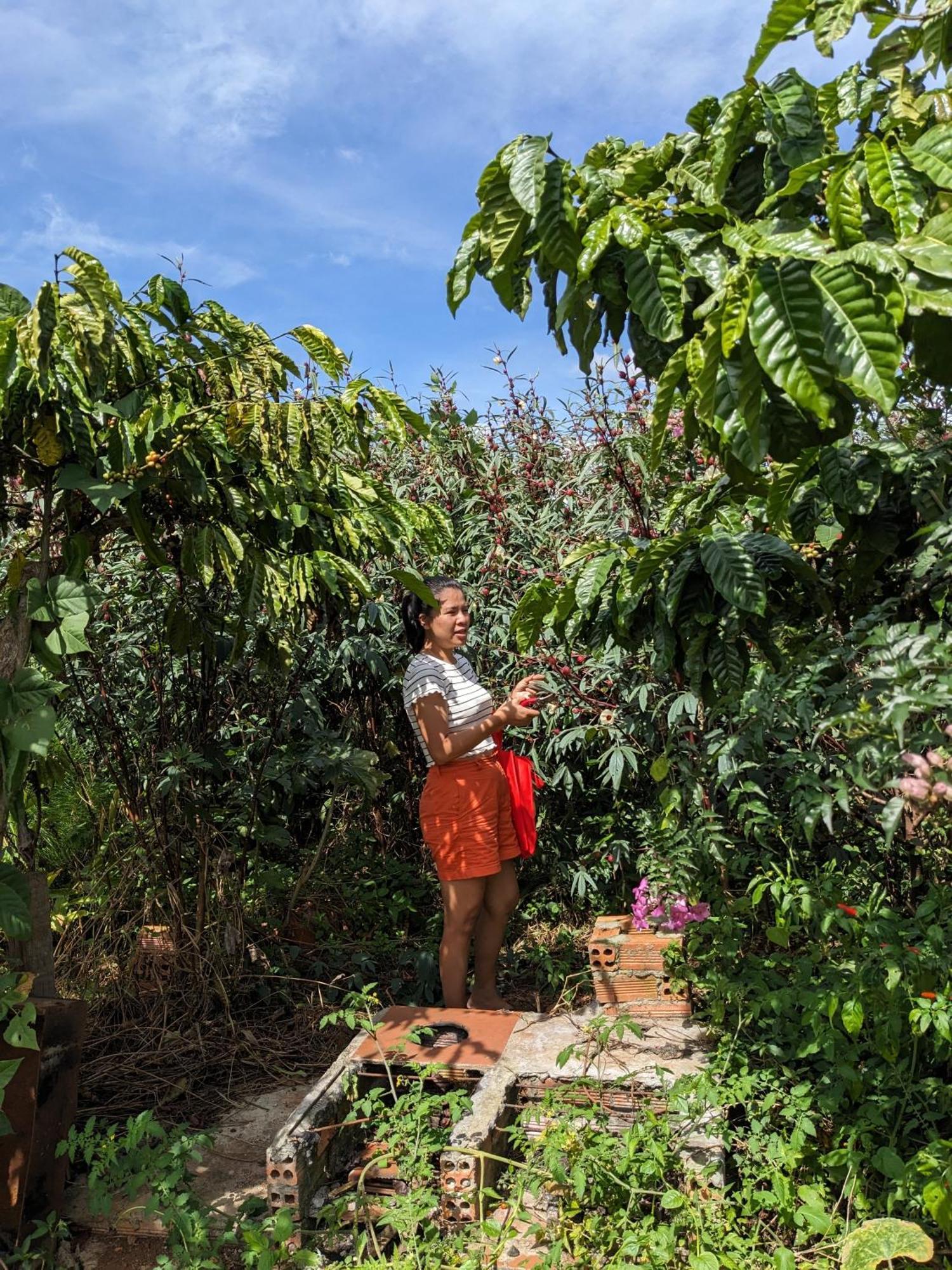 Appartement Ivy Coffee Farm - Garden House à Duc Trong Extérieur photo