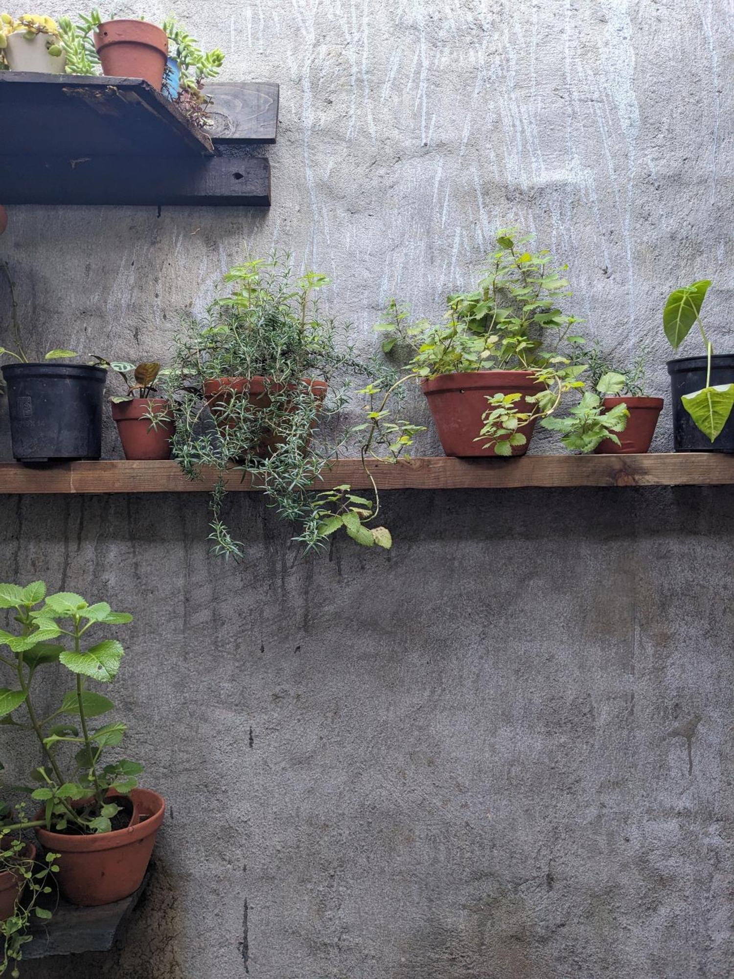 Appartement Ivy Coffee Farm - Garden House à Duc Trong Extérieur photo
