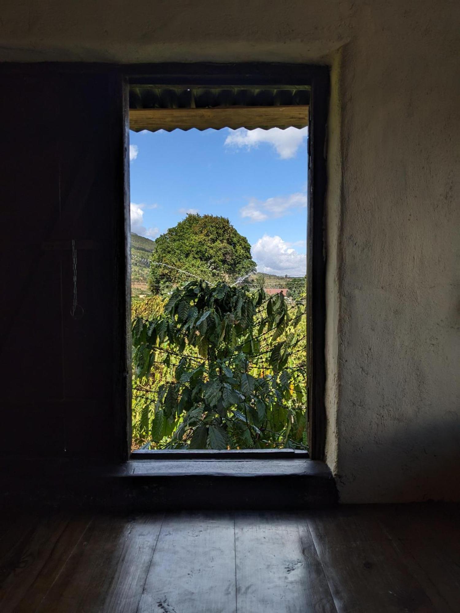 Appartement Ivy Coffee Farm - Garden House à Duc Trong Extérieur photo