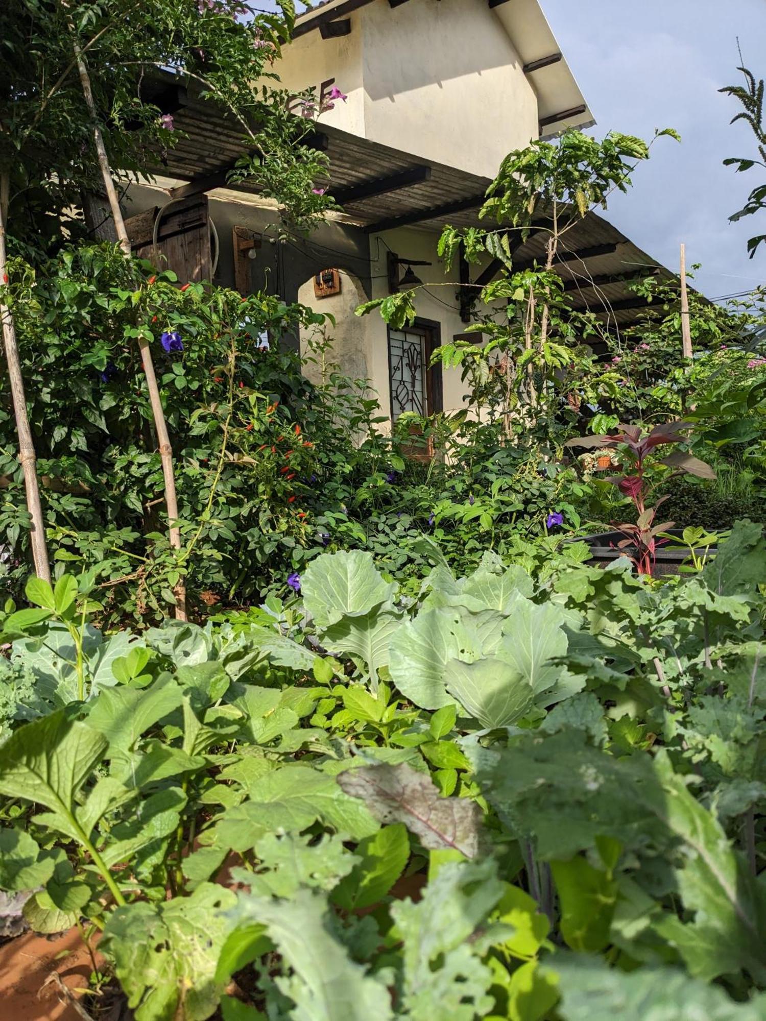 Appartement Ivy Coffee Farm - Garden House à Duc Trong Extérieur photo