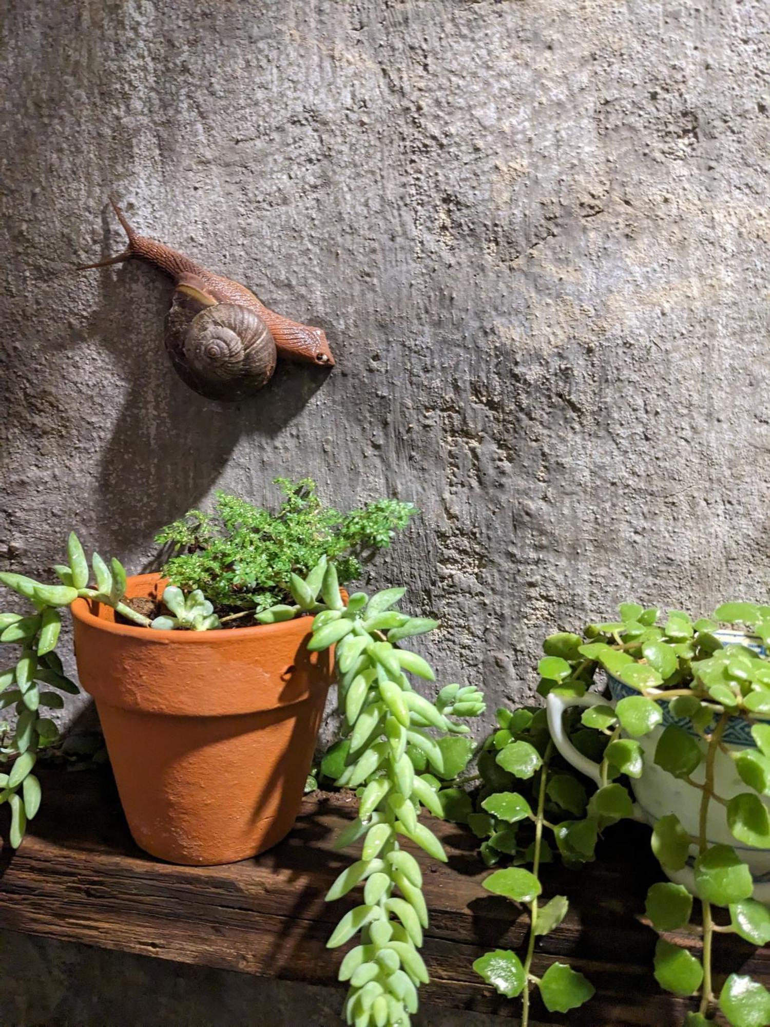 Appartement Ivy Coffee Farm - Garden House à Duc Trong Extérieur photo